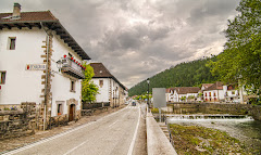 Aizkolarienea