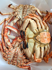 Angulas y Mariscos Bruño e Hijos