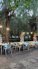Bar Belerda