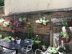 Bar Medio Mundo