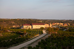Bodega Bideona