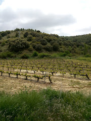 Bodegas San Martín