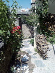 Casa Cardelina