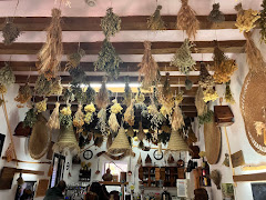 Casa forestales