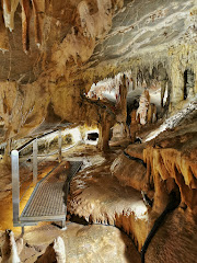 Cuevas de Ortigosa