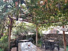 El Fresno Bar Terraza