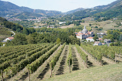 Finca Narzabal