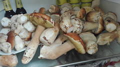 Gaztelutxo