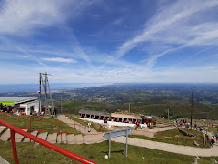 Larun 