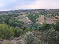 Mirador del Vero