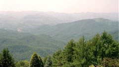 Parque Natural Señorío de Bértiz