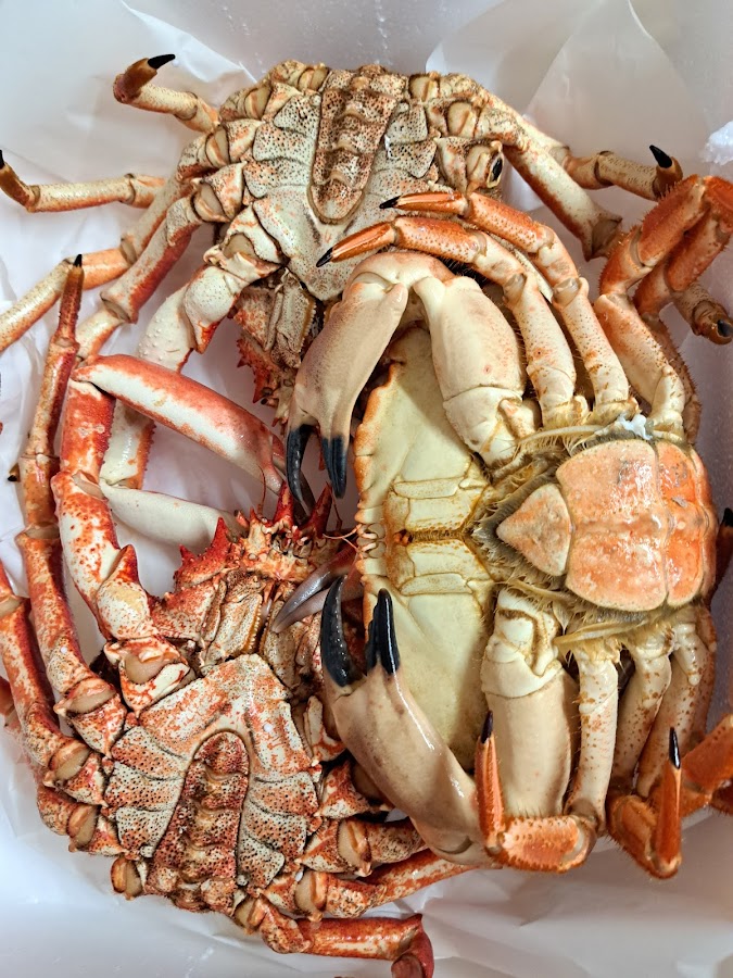 Angulas y Mariscos Bruño e Hijos