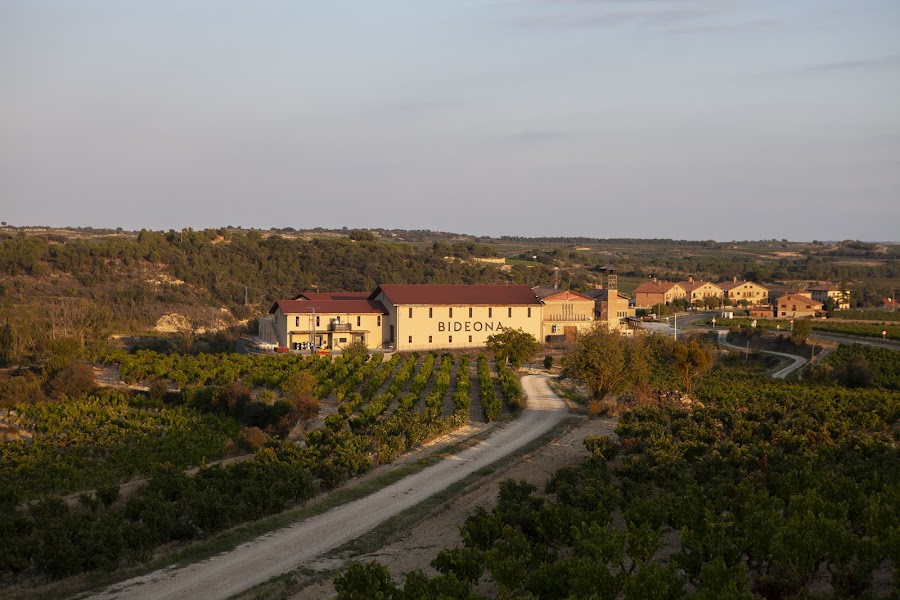 Bodega Bideona