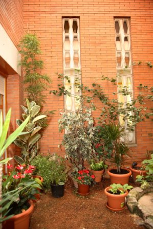 Hostal Chandro