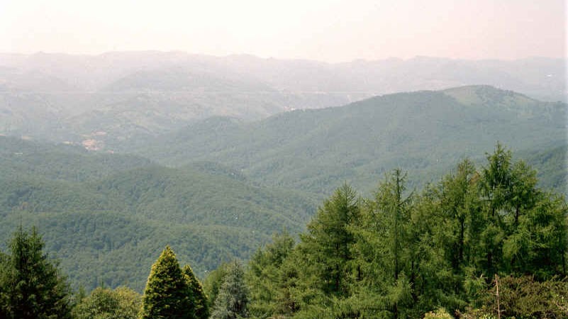 Parque Natural Señorío de Bértiz